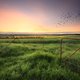 iStock
